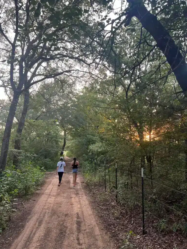 Wooded Hiking Trail
